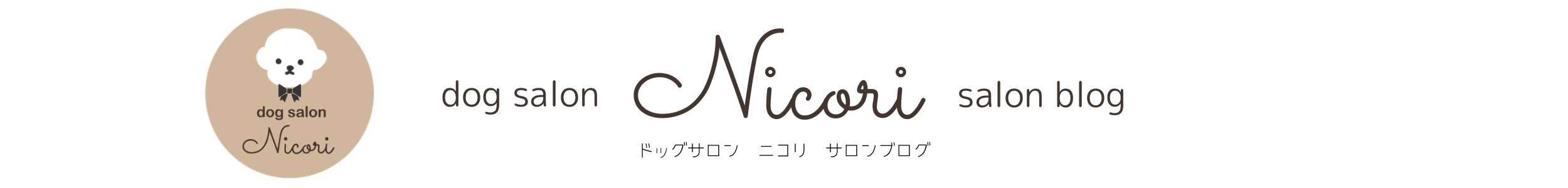 dogsalon Nicori サロンブログ